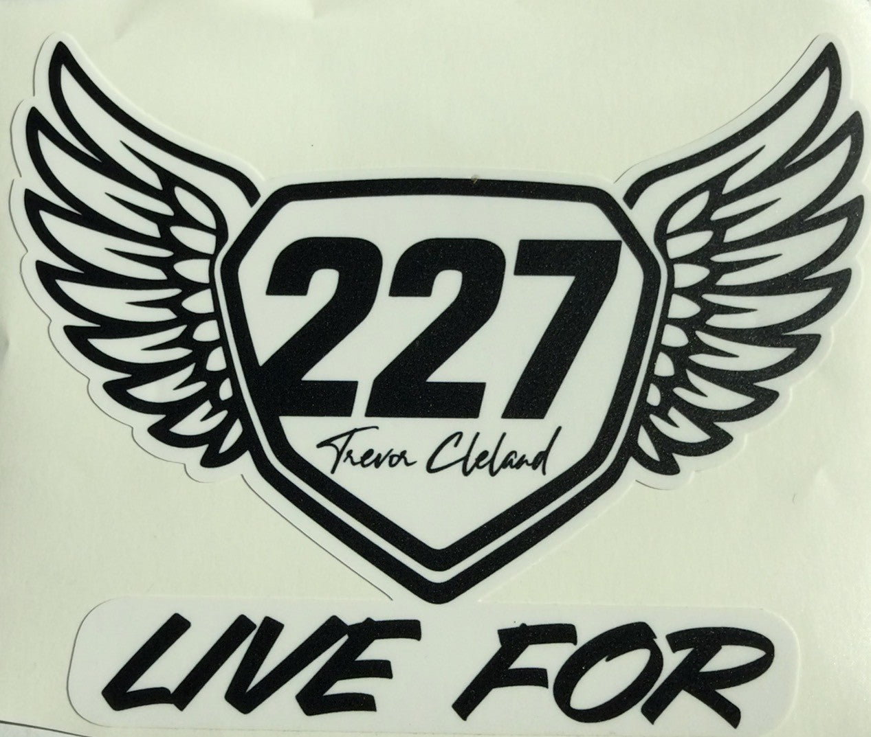 Angel Wings 227 Live for Sticker
